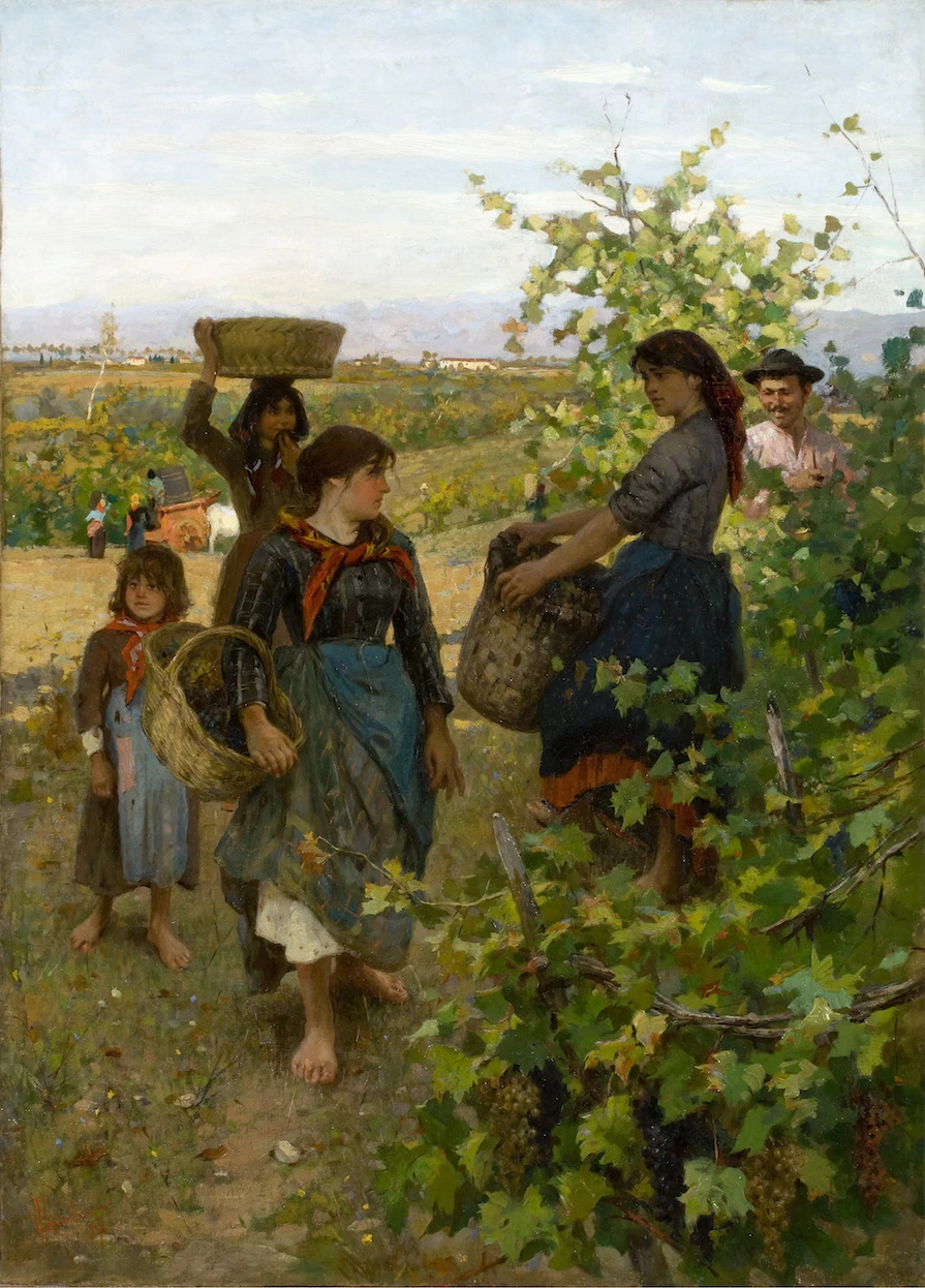 Periodo di vendemmia (1887)